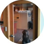 Picture of Spokane office glass door with large fluffy dog