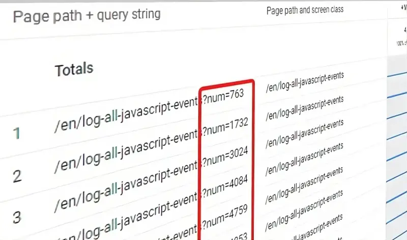 Image of page path URLs with examples of query parameters highlighted in a red box.