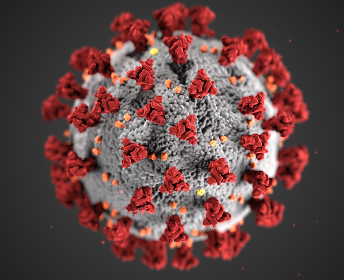 Covid-19 molecule