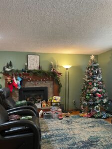 Decorated Christmas tree and fireplace
