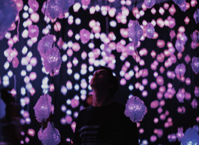 Person looking up at strings of purple lights