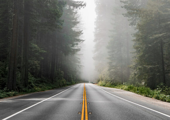 misty forested road