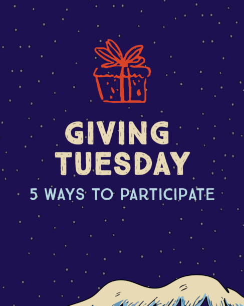 12 Days of Giveaways