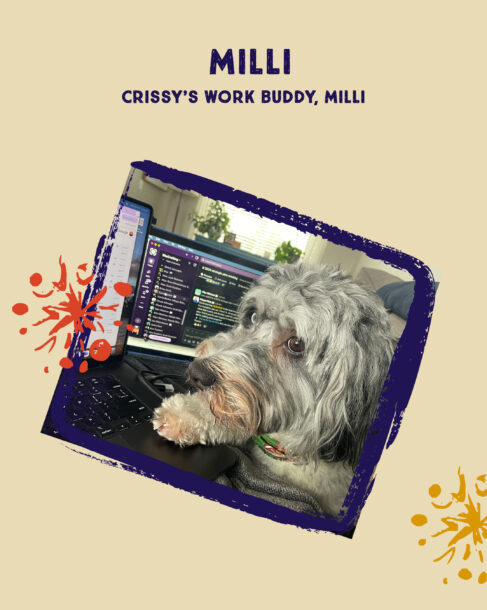Mili, a fluffy grey and white dog, rests a paw on SiteCrafting employee Crissy's laptop.