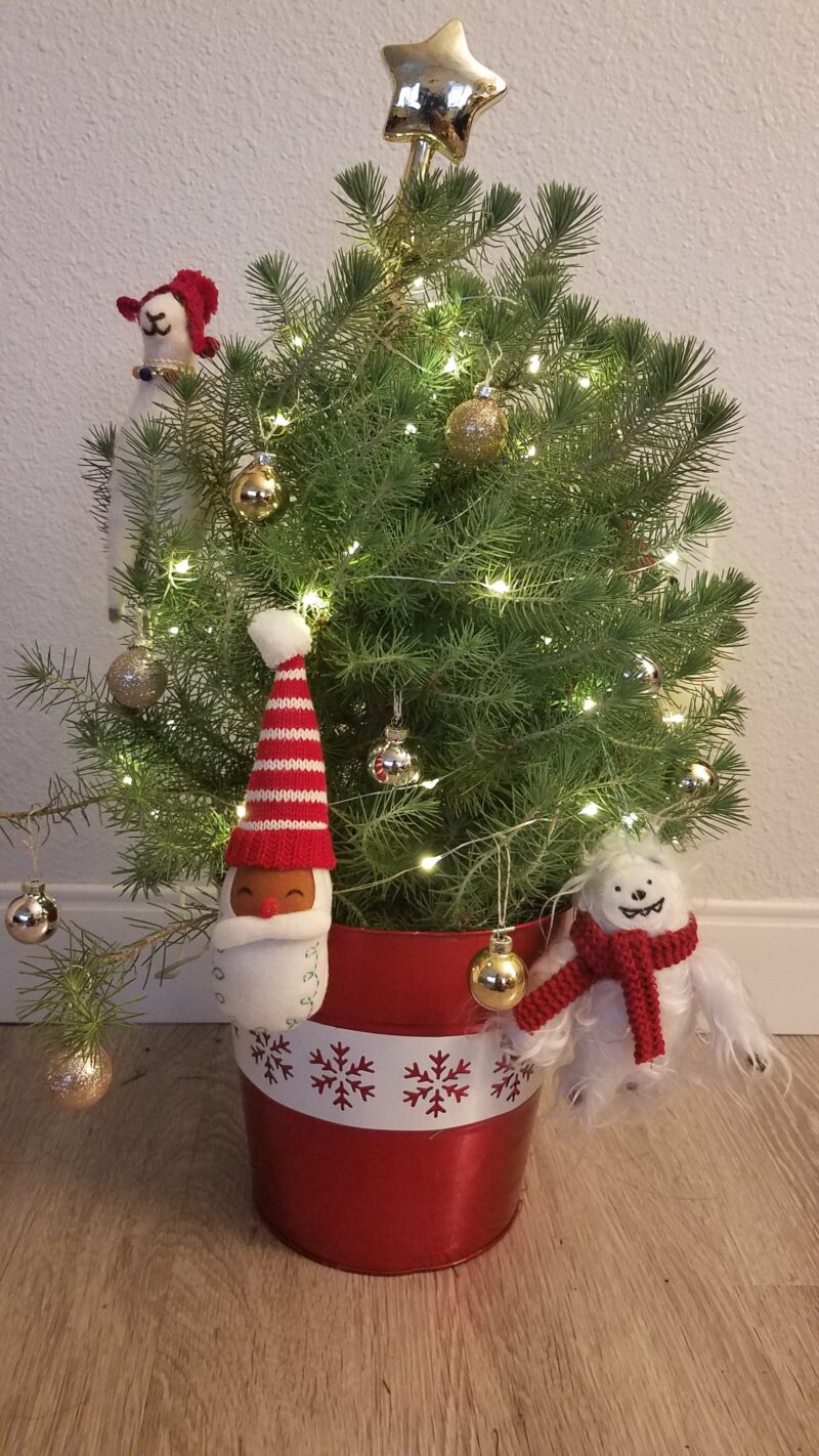 Small Christmas tree