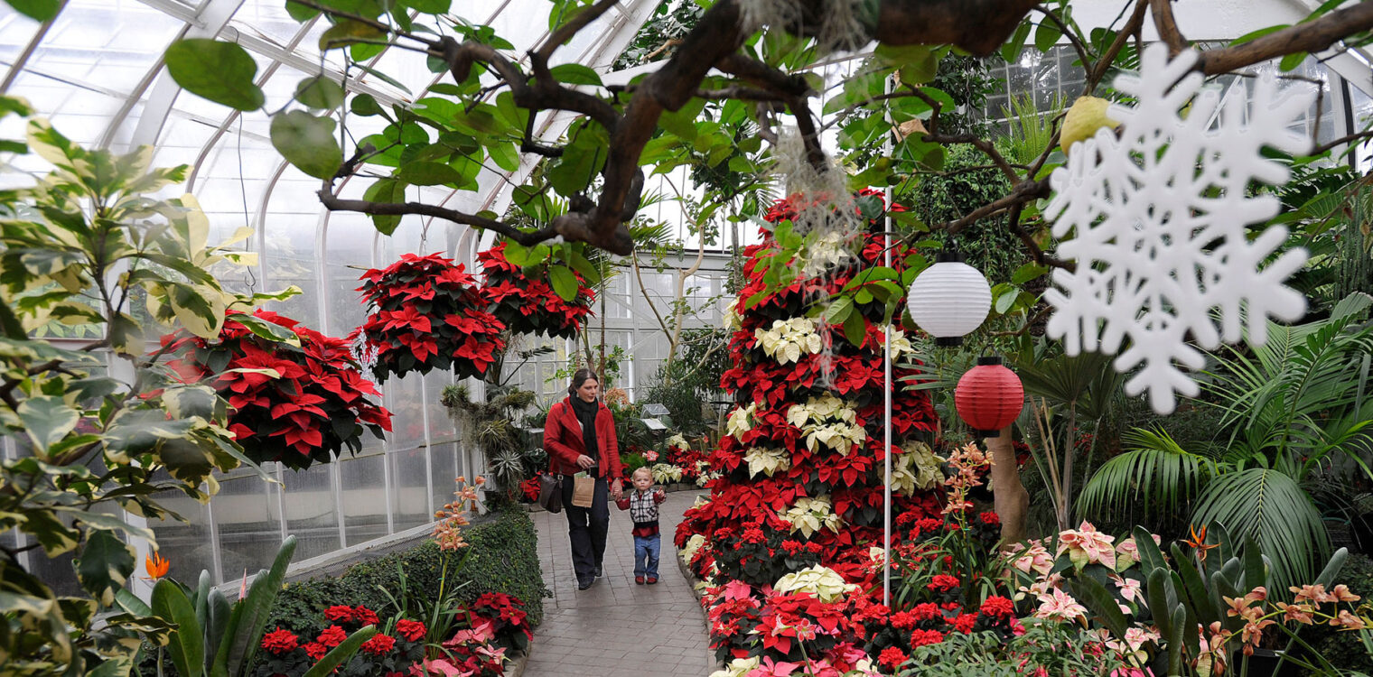 Woman and child walking down a pathway in a Christmas decorated botanical conservatory