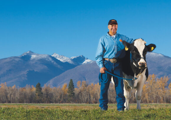 Darigold worker holding reigns to a black and white cow in a field with mountains in the background.