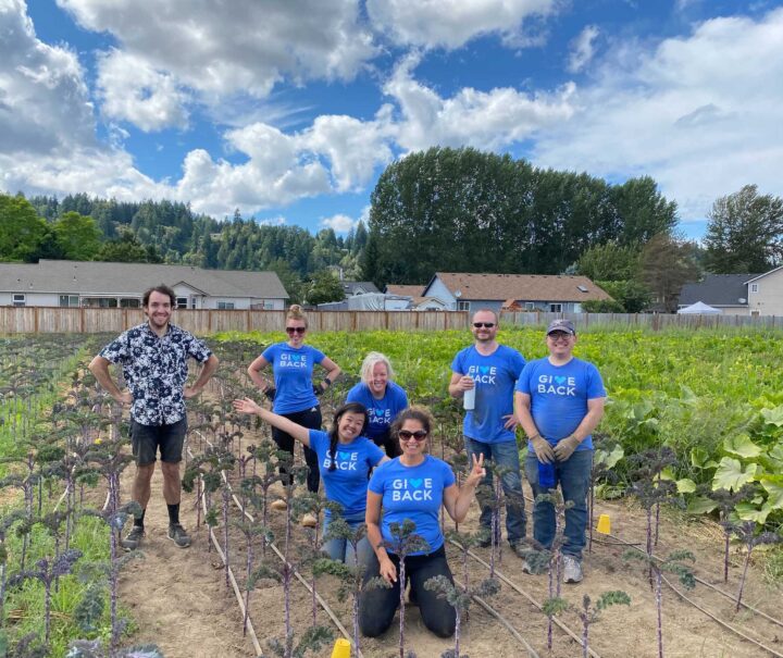 SiteCrafting employees weeding kale beds at Mother Earth Farm