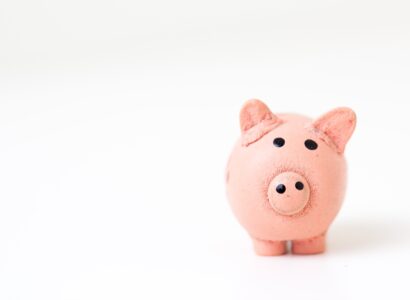 Small pig figurine.
