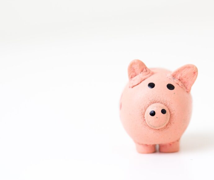 Small pig figurine.