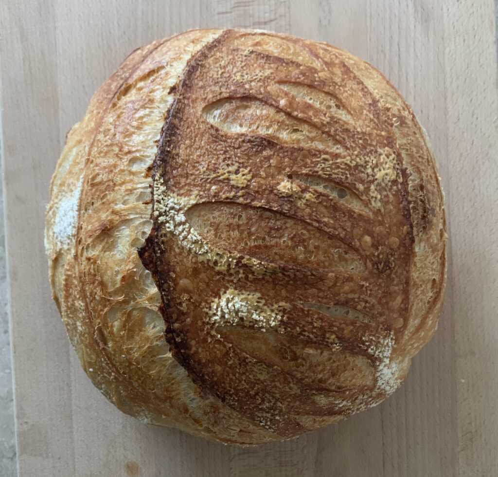 Freshly baked sourdough bread made by Aly