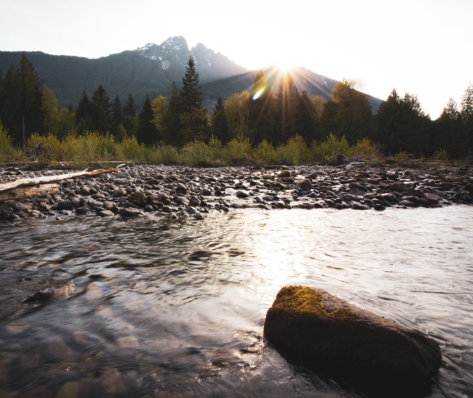 Mountain stream
